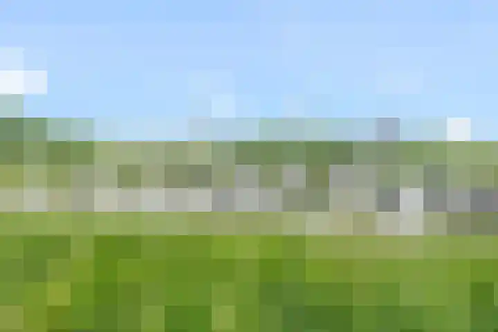 Zustersteeg 6 Heusden thumbnail 25