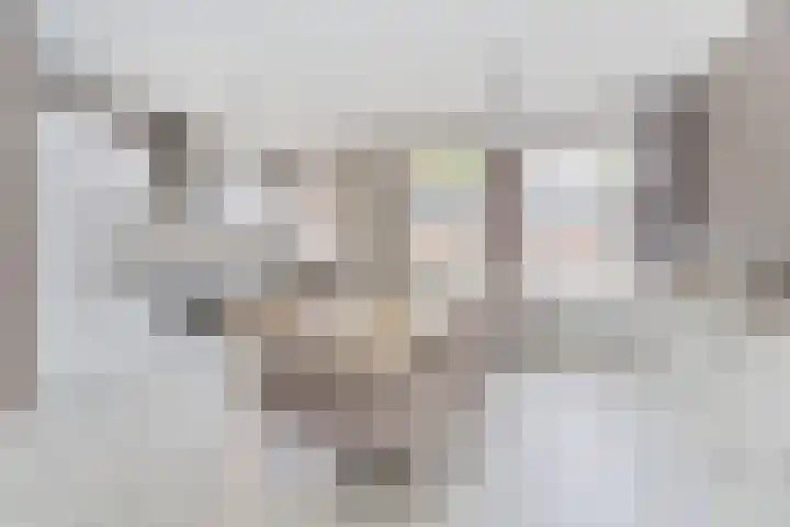 Zustersteeg 6 Heusden thumbnail 6