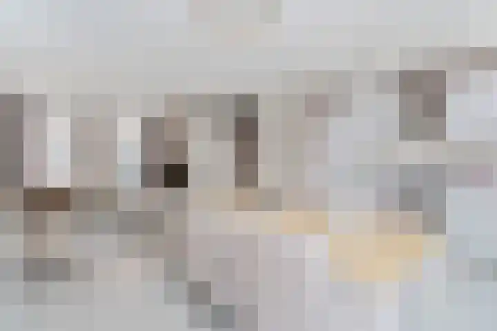 Zustersteeg 6 Heusden thumbnail 7