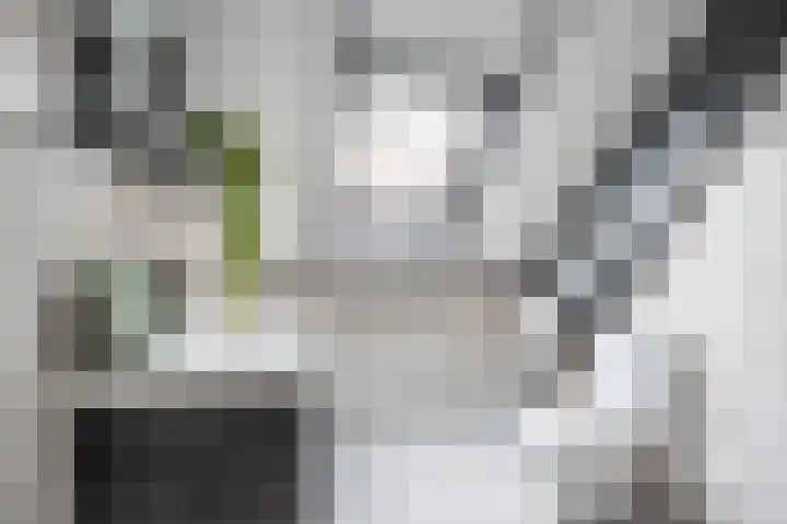 Zusterstraat 26 e Gorinchem thumbnail 7