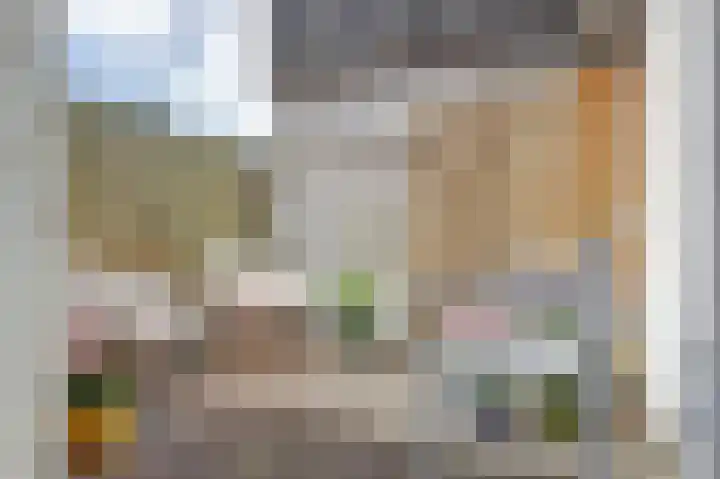 Zusterstraat 3 Gorinchem thumbnail 18