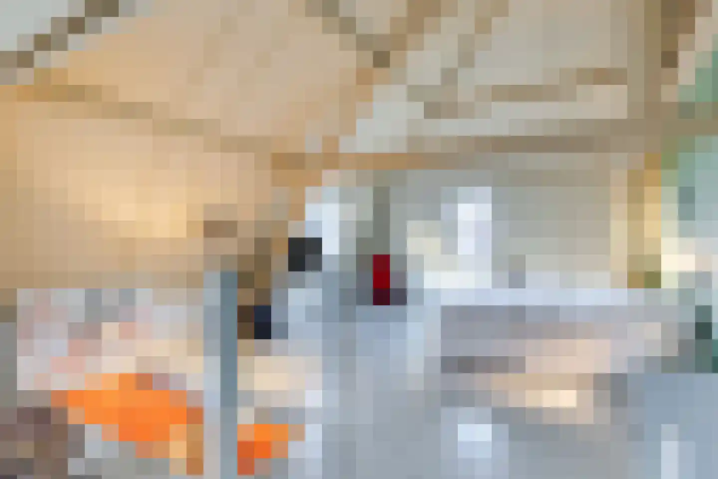 Zusterstraat 4 Gorinchem thumbnail 6