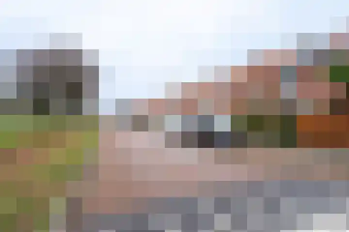 Zustersveld 30 Breda thumbnail 24