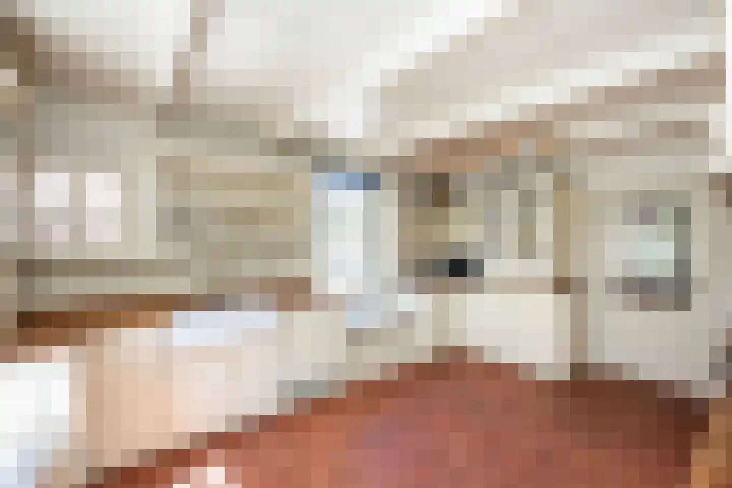 Zuthemerweg 2 Zwolle thumbnail 14