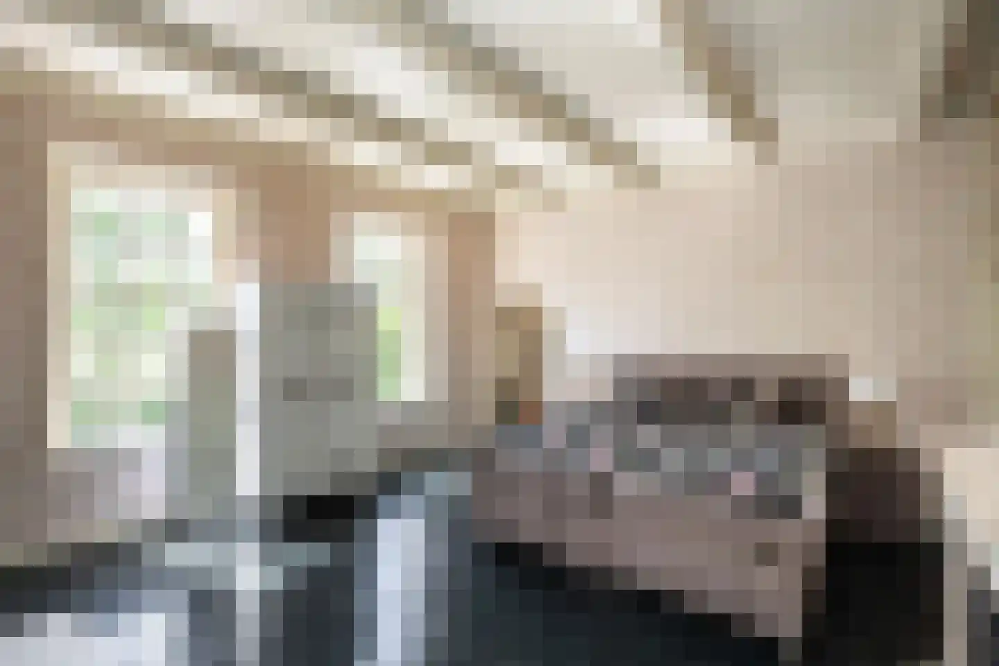 Zuthemerweg 2 Zwolle thumbnail 17