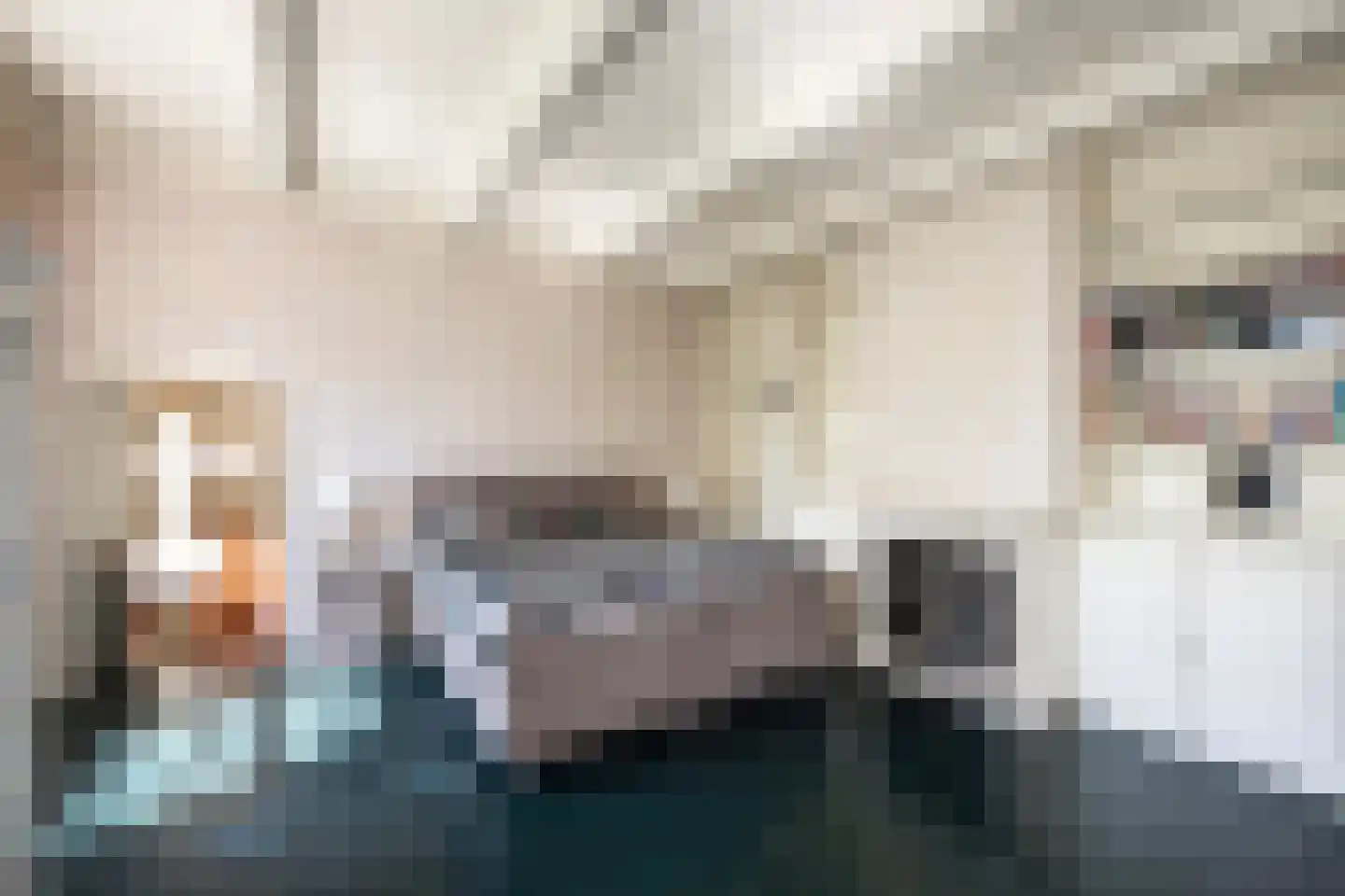 Zuthemerweg 2 Zwolle thumbnail 19