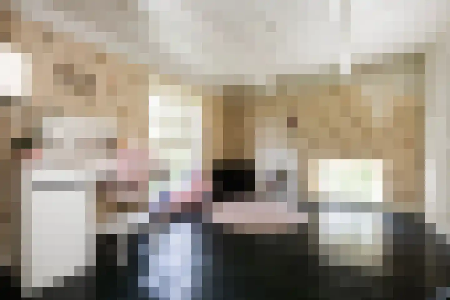 Zuthemerweg 2 Zwolle thumbnail 23