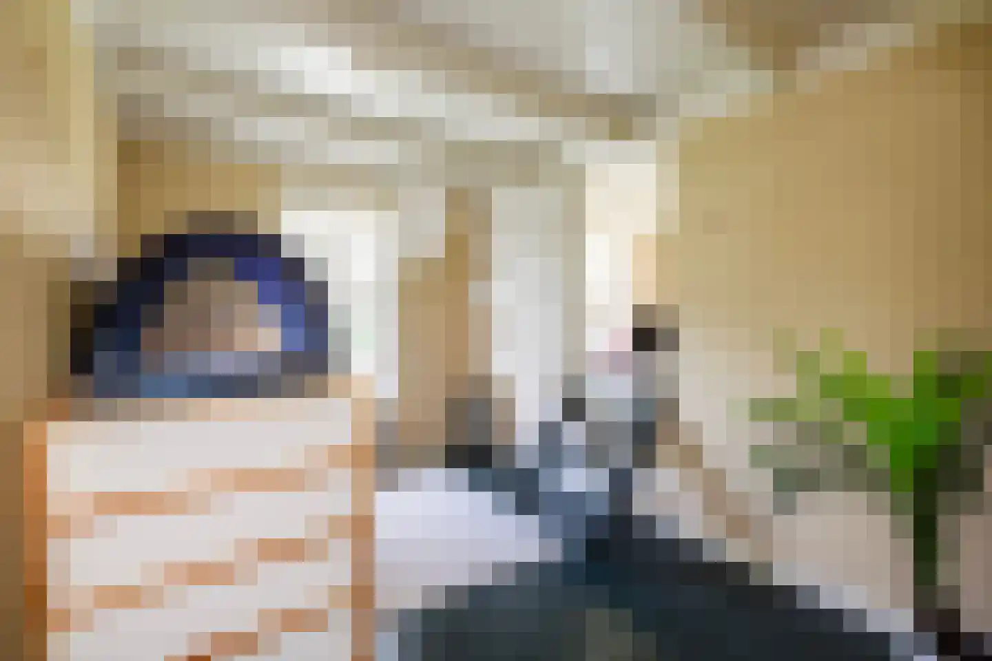 Zuthemerweg 2 Zwolle thumbnail 24