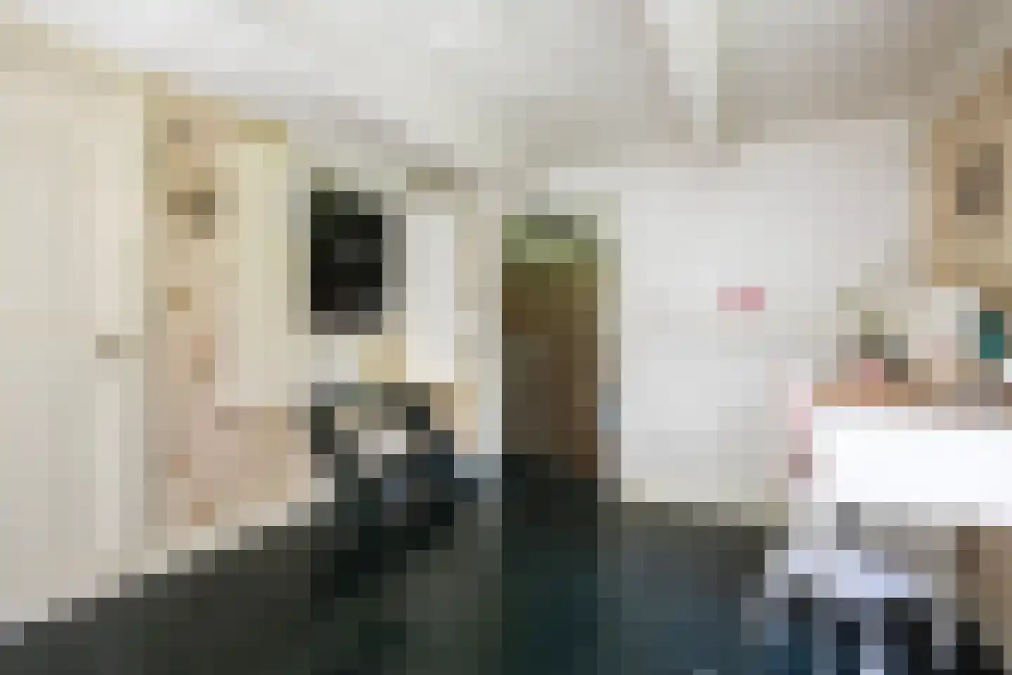 Zuthemerweg 2 Zwolle thumbnail 25