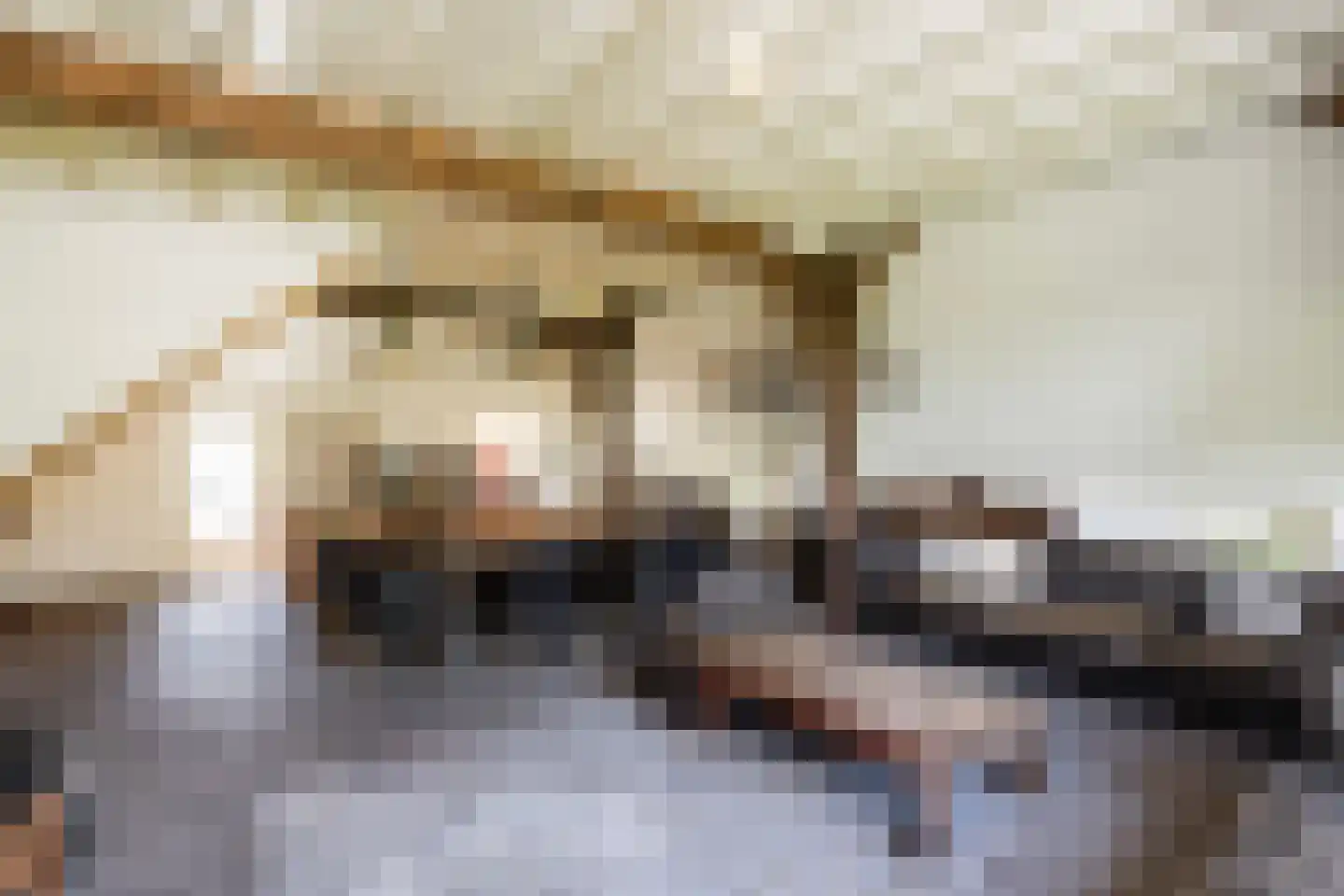 Zuthemerweg 2 Zwolle thumbnail 29
