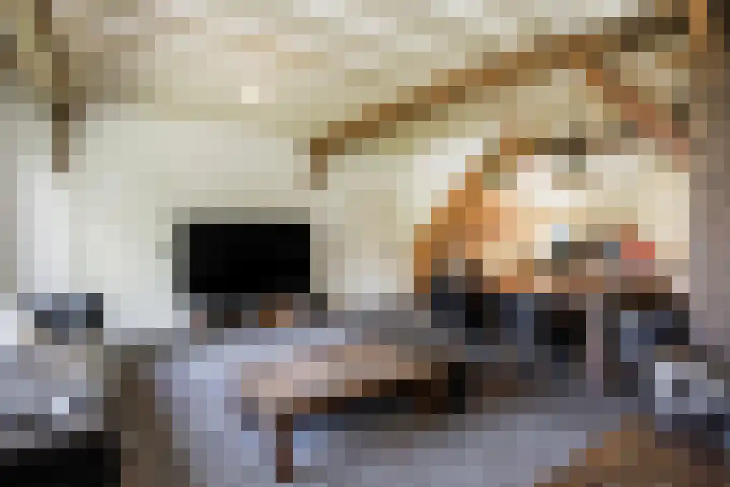Zuthemerweg 2 Zwolle thumbnail 30