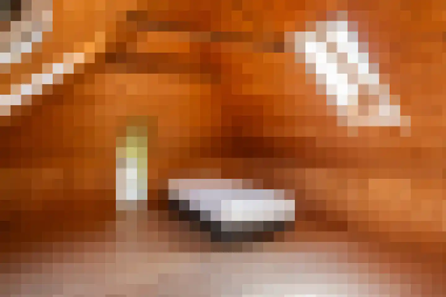 Zuthemerweg 2 Zwolle thumbnail 34