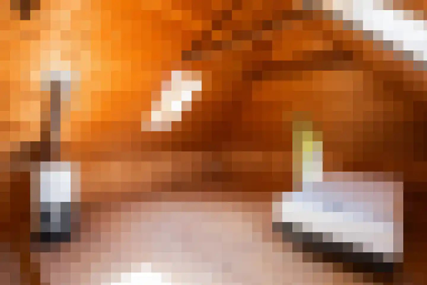 Zuthemerweg 2 Zwolle thumbnail 35