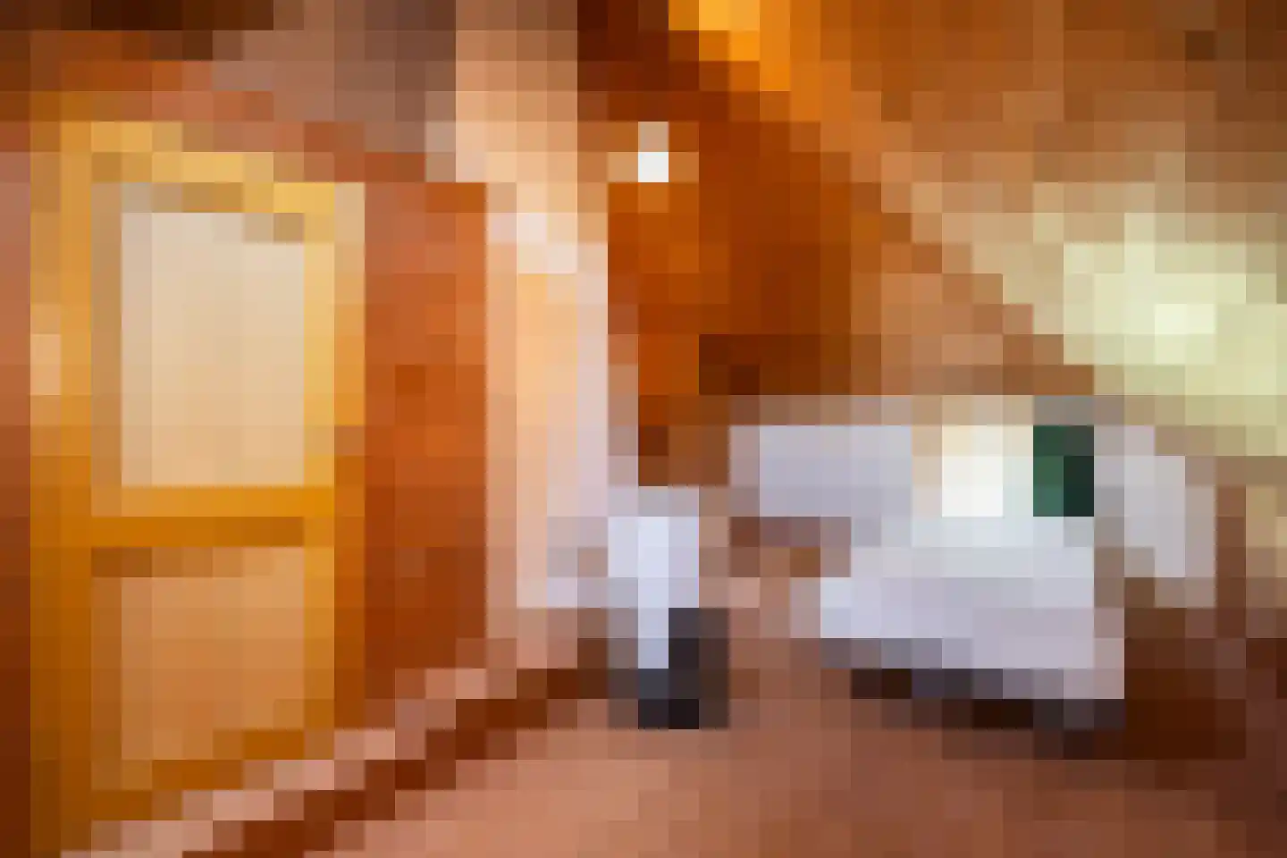 Zuthemerweg 2 Zwolle thumbnail 38