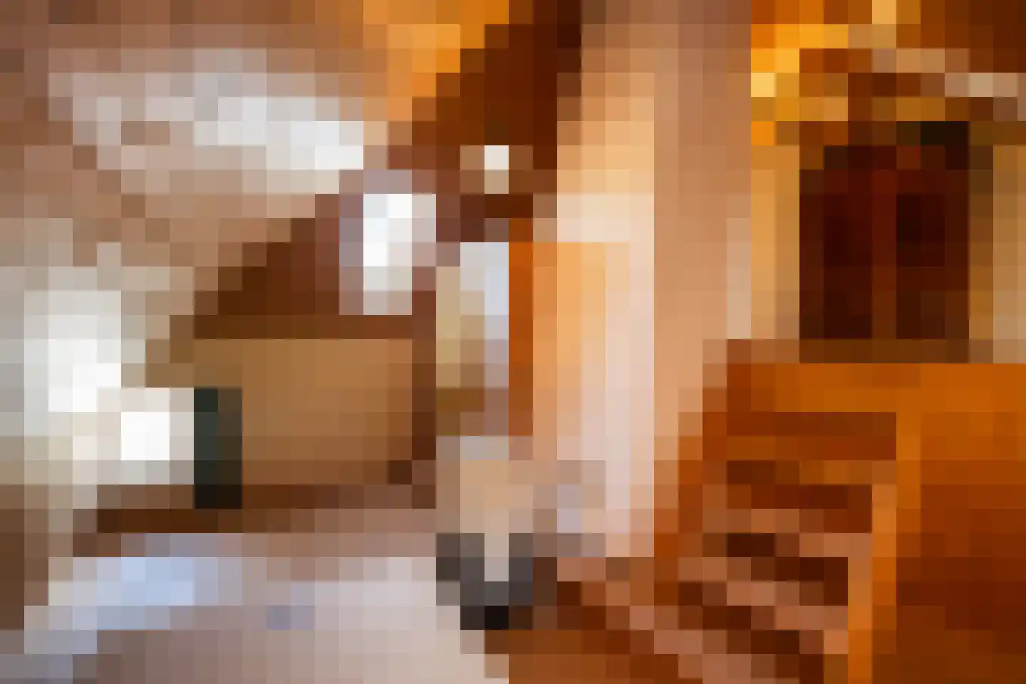 Zuthemerweg 2 Zwolle thumbnail 39
