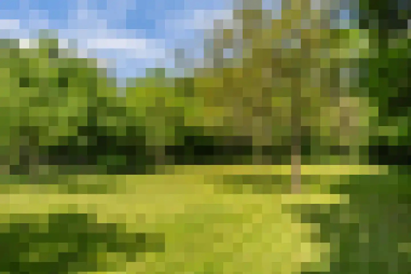 Zuthemerweg 2 Zwolle thumbnail 43