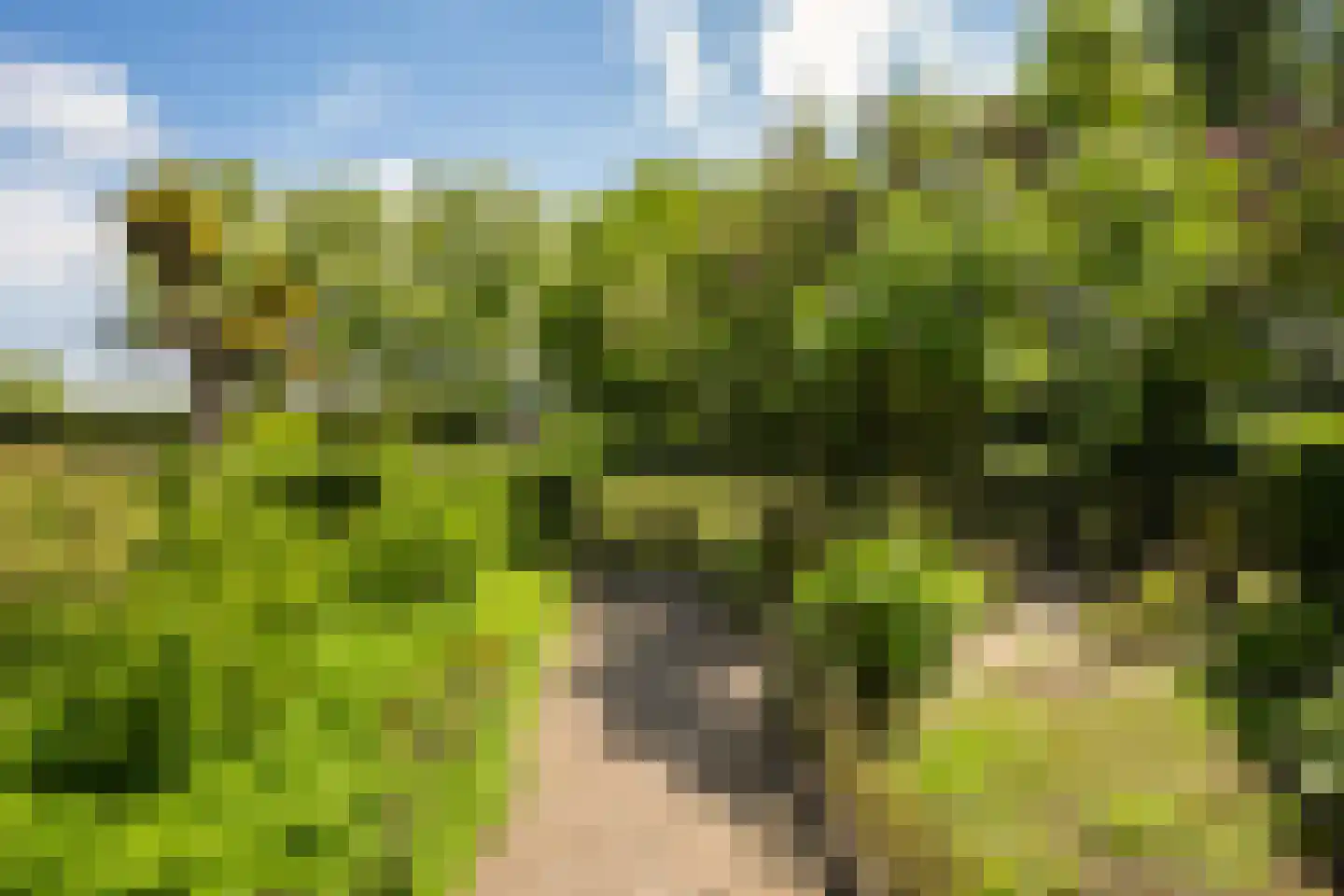 Zuthemerweg 2 Zwolle thumbnail 45