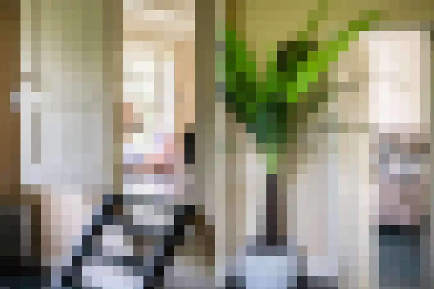 Zuthemerweg 2 Zwolle thumbnail 49