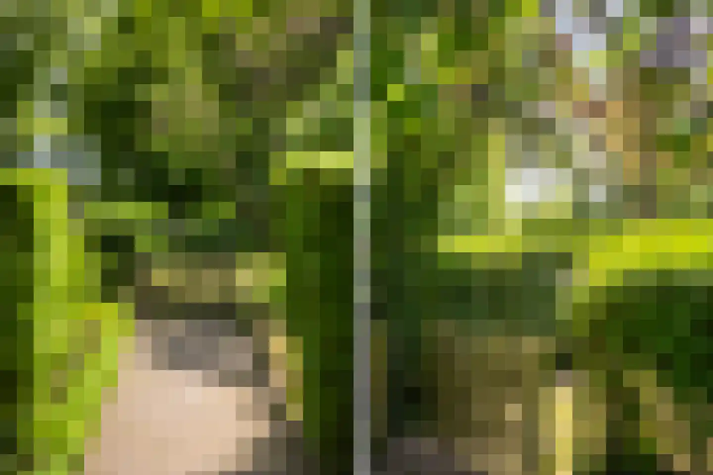 Zuthemerweg 2 Zwolle thumbnail 51
