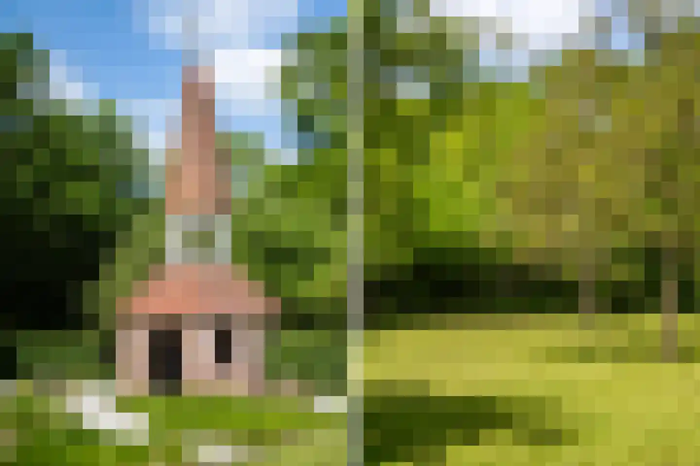 Zuthemerweg 2 Zwolle thumbnail 53