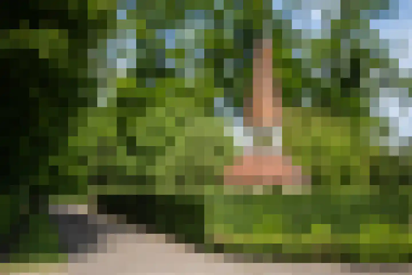 Zuthemerweg 2 Zwolle thumbnail 54