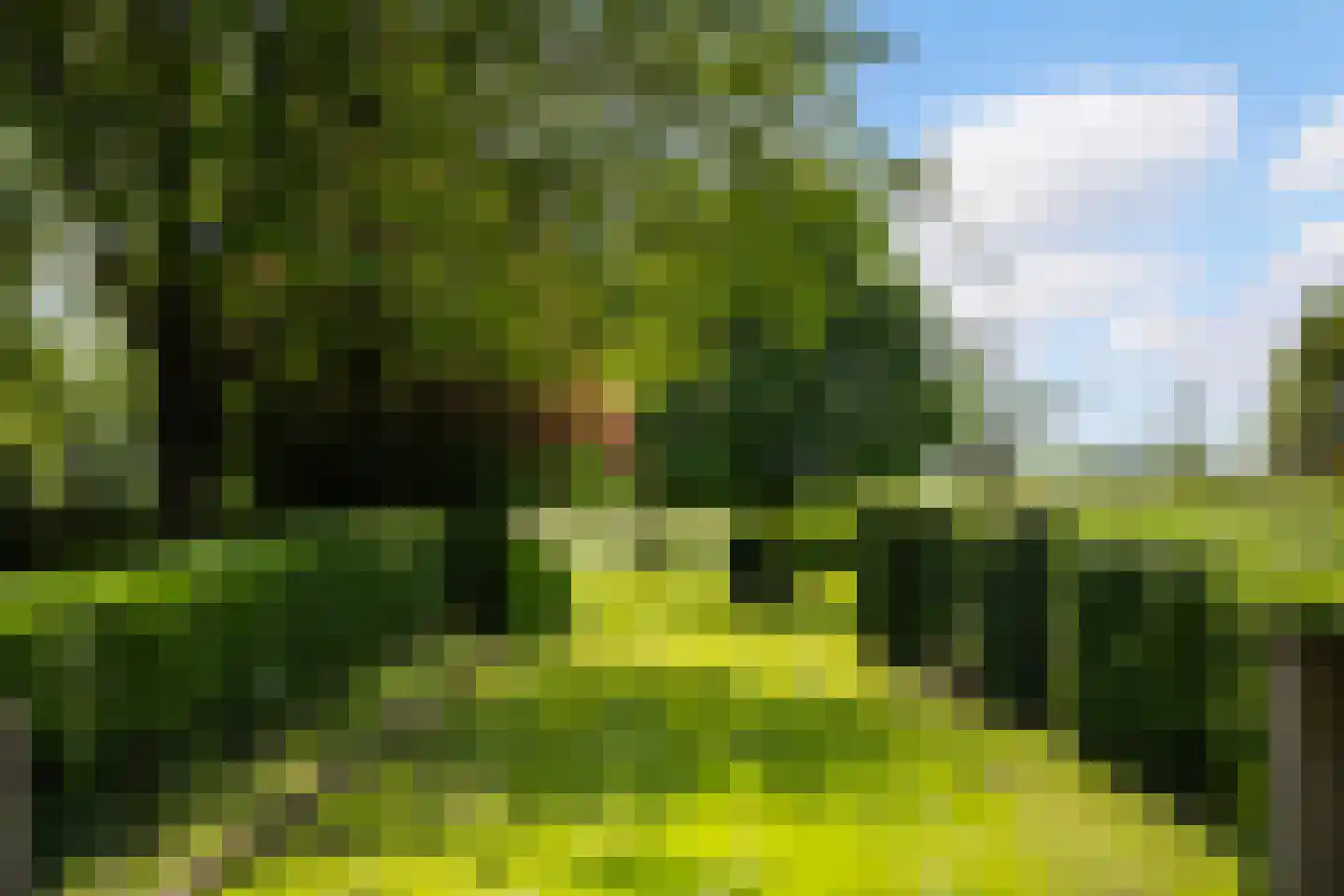 Zuthemerweg 2 Zwolle thumbnail 56