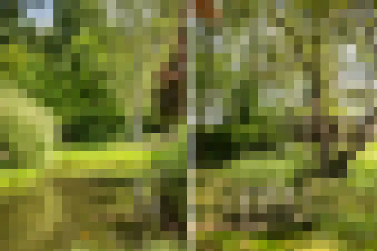 Zuthemerweg 2 Zwolle thumbnail 57
