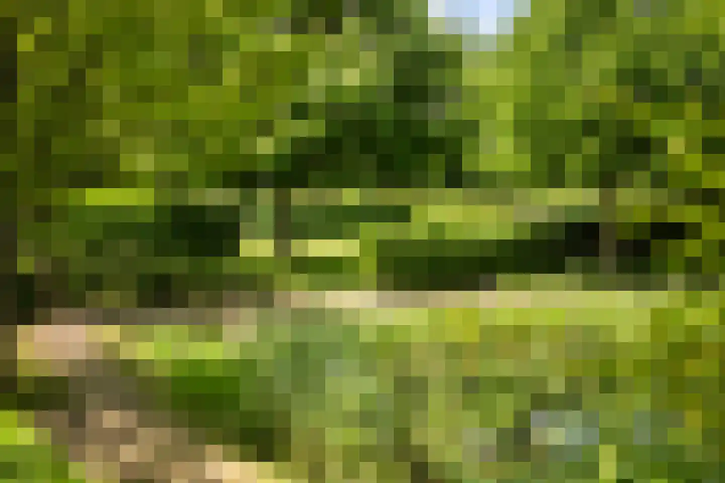 Zuthemerweg 2 Zwolle thumbnail 59