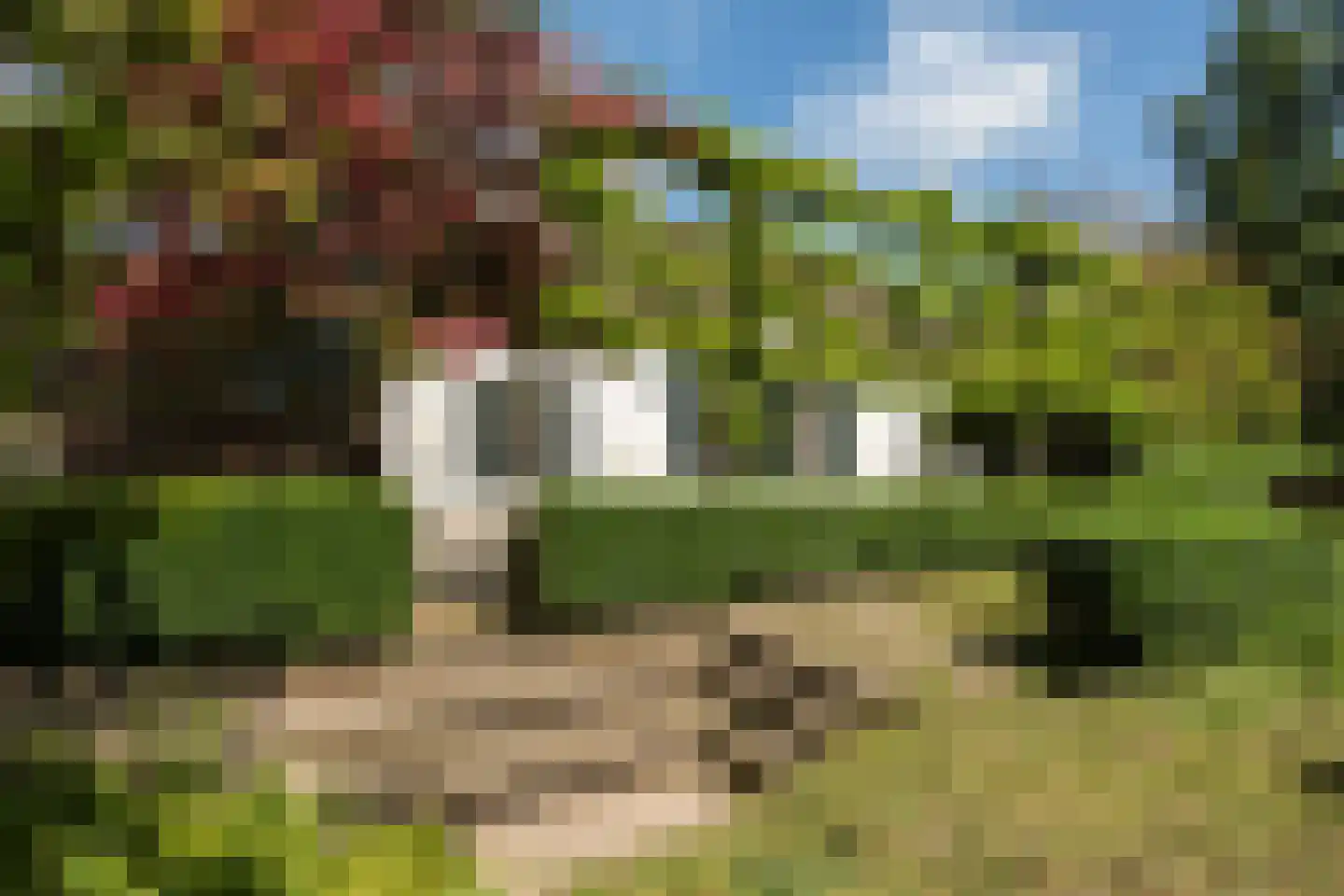 Zuthemerweg 2 Zwolle thumbnail 6