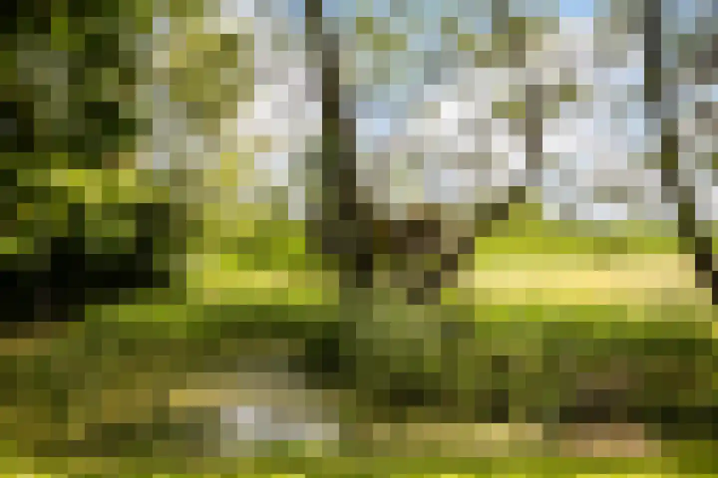 Zuthemerweg 2 Zwolle thumbnail 60