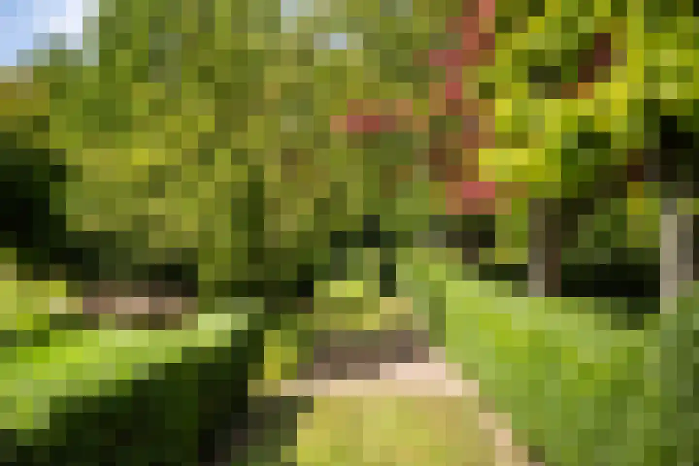 Zuthemerweg 2 Zwolle thumbnail 61