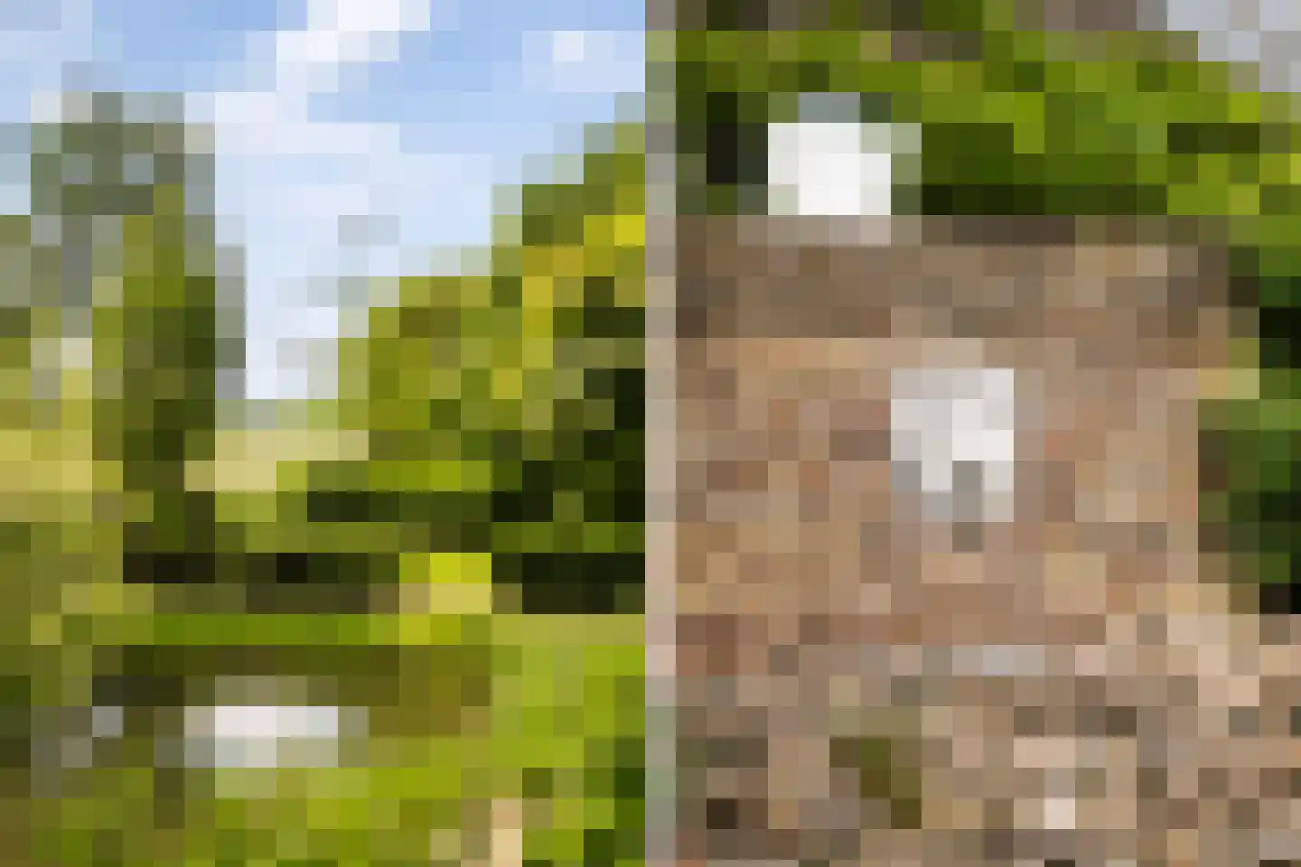 Zuthemerweg 2 Zwolle thumbnail 62