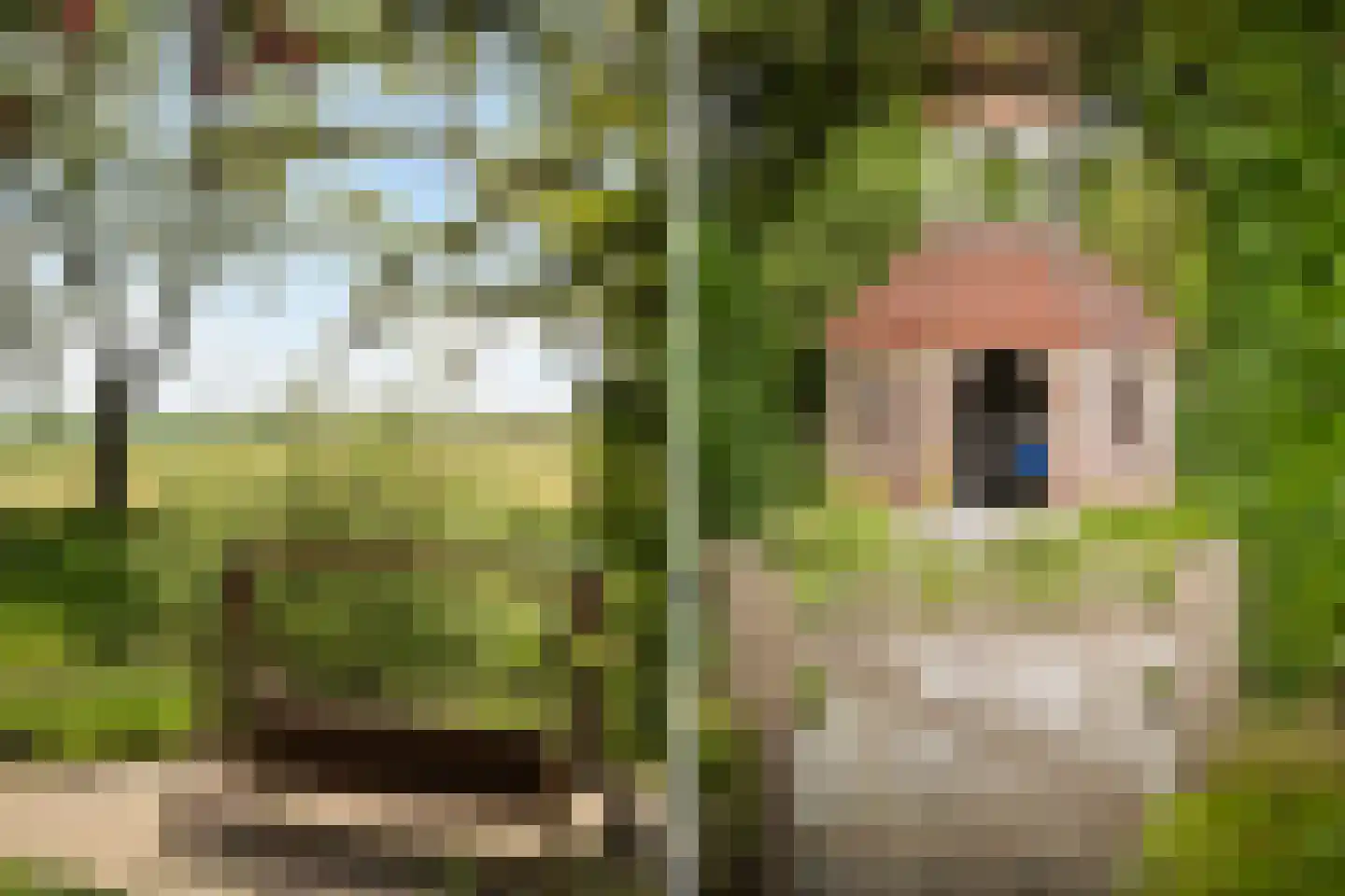 Zuthemerweg 2 Zwolle thumbnail 66
