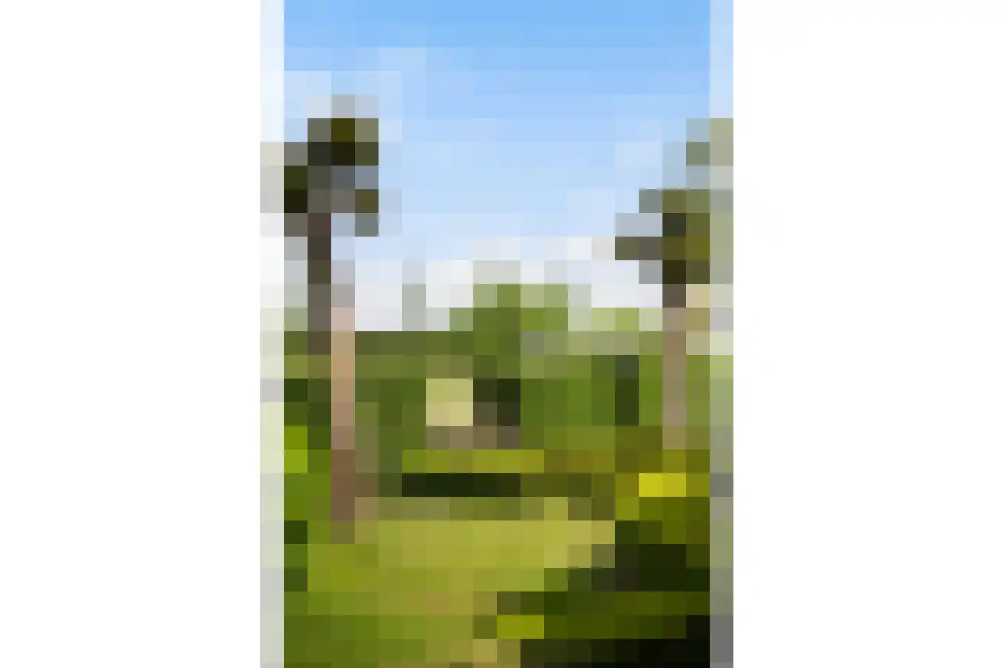 Zuthemerweg 2 Zwolle thumbnail 67