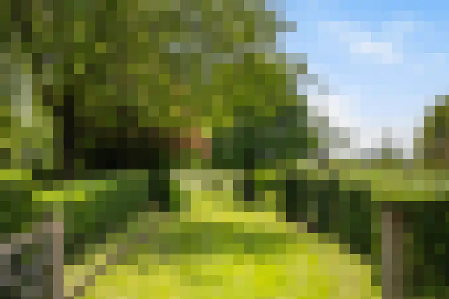 Zuthemerweg 2 Zwolle thumbnail 69
