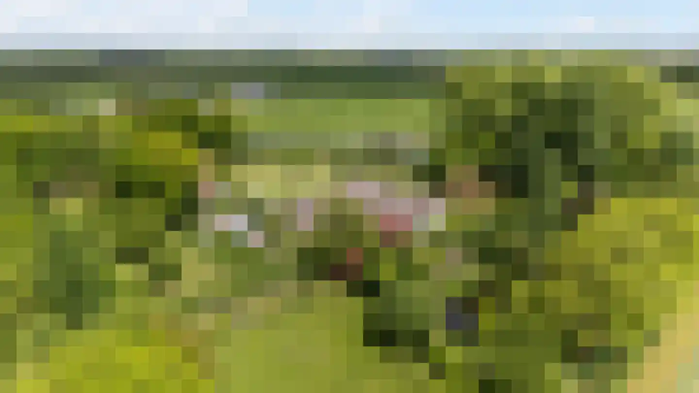 Zuthemerweg 2 Zwolle thumbnail 72