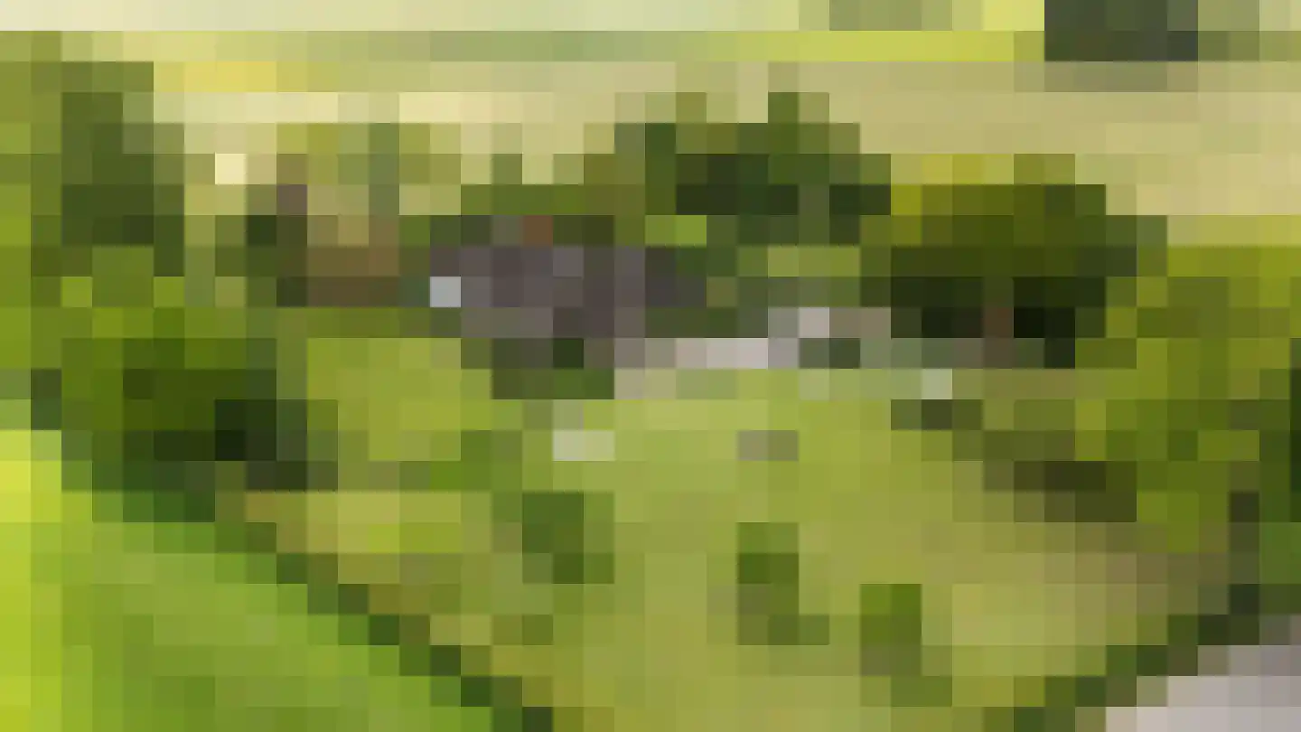 Zuthemerweg 2 Zwolle thumbnail 73