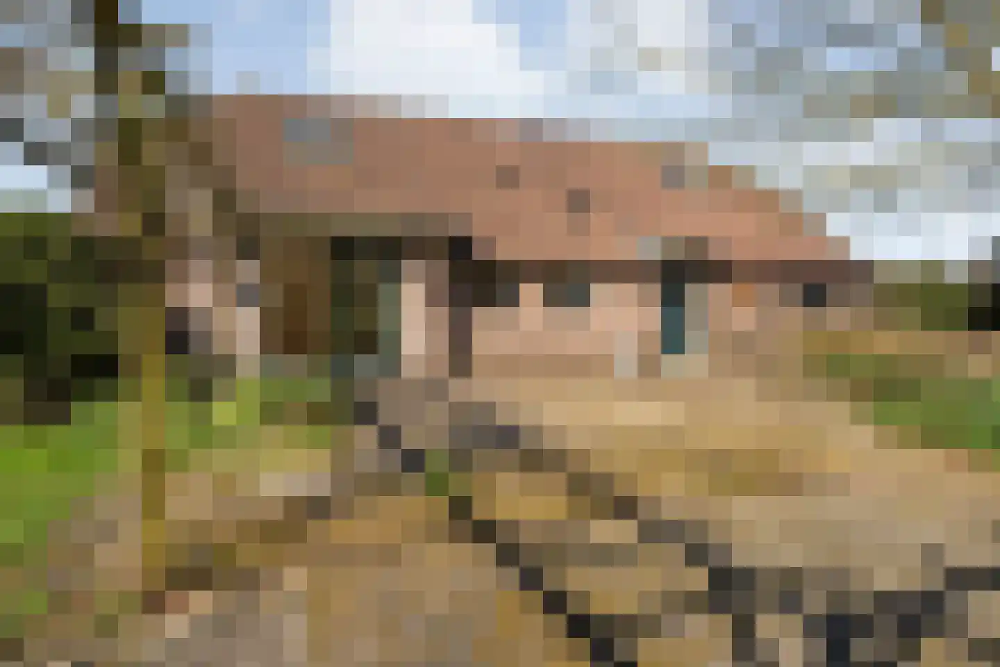Zuthemerweg 28 Laag Zuthem thumbnail 34