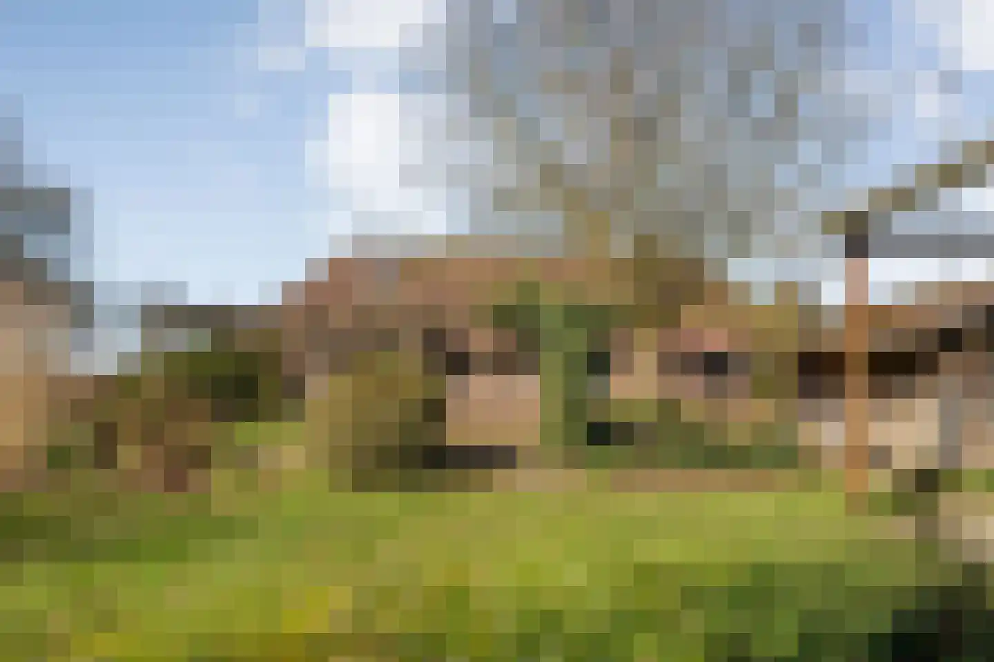 Zuthemerweg 28 Laag Zuthem thumbnail 35