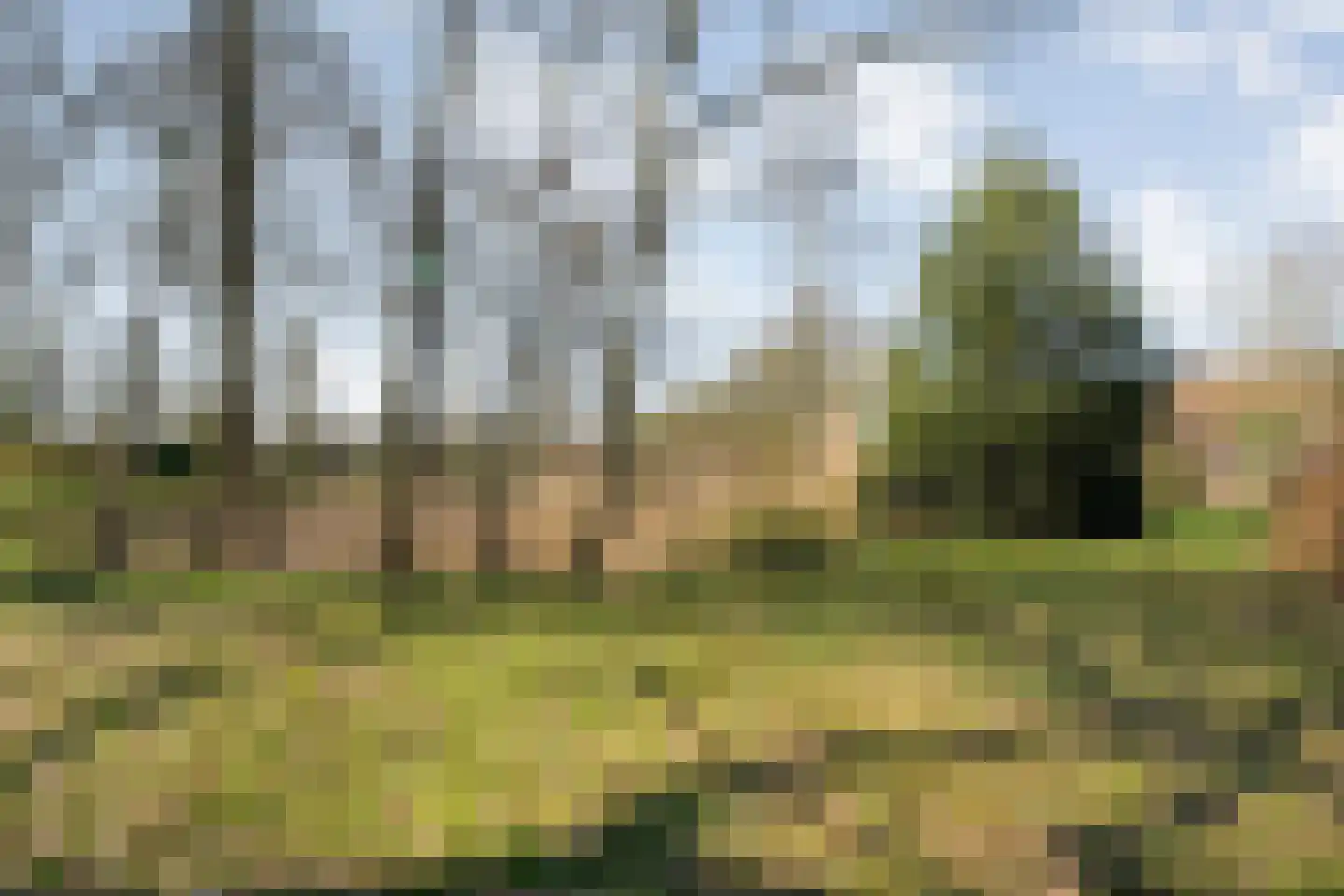 Zuthemerweg 28 Laag Zuthem thumbnail 36