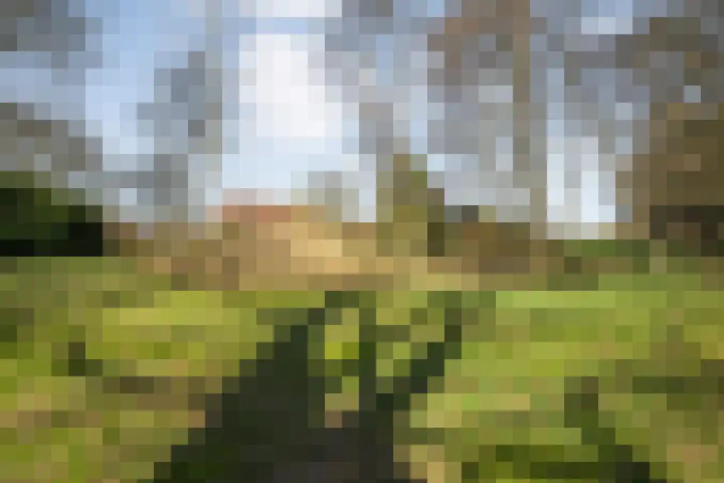 Zuthemerweg 28 Laag Zuthem thumbnail 37