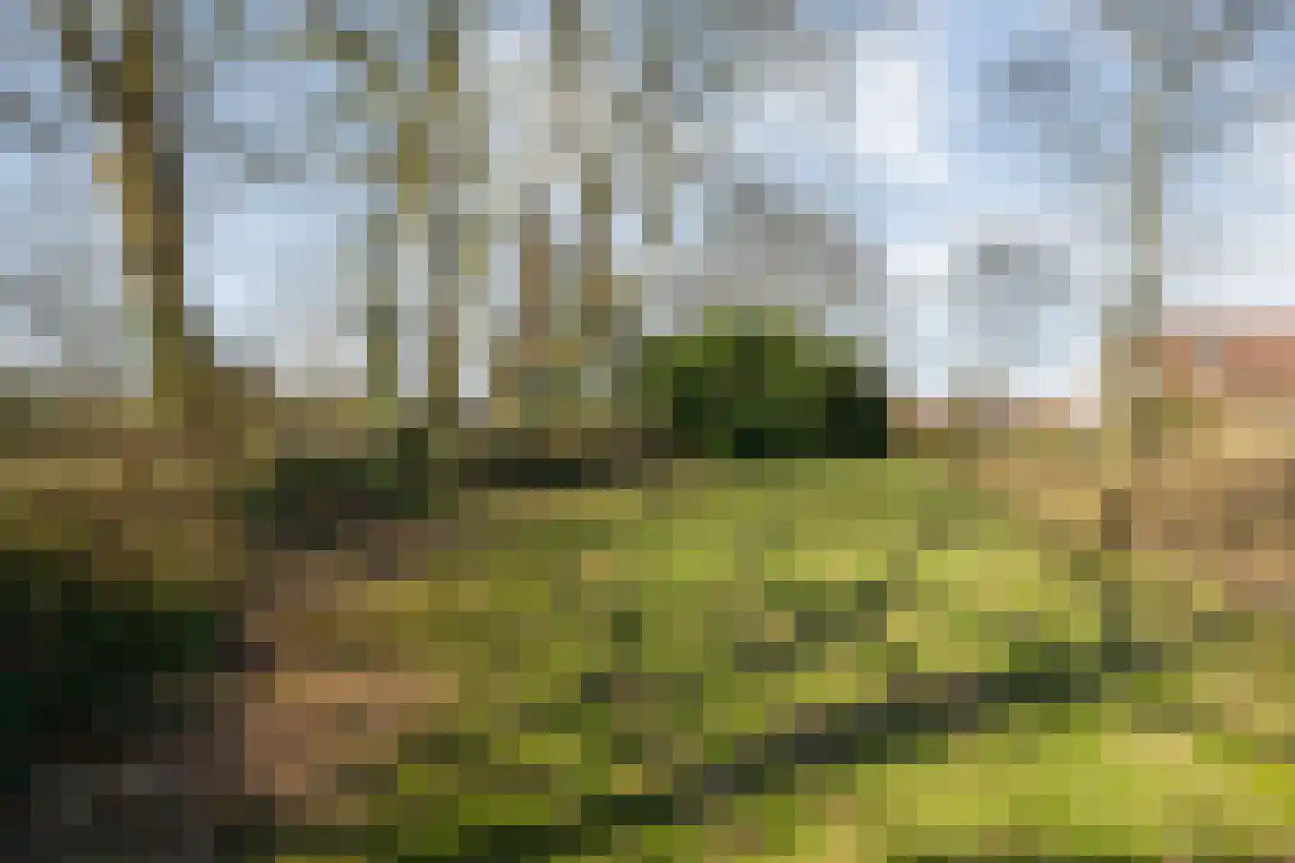 Zuthemerweg 28 Laag Zuthem thumbnail 38