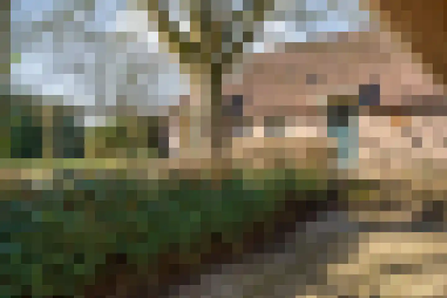 Zuthemerweg 28 Laag Zuthem thumbnail 39