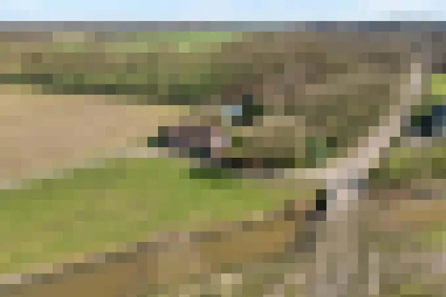 Zuthemerweg 28 Laag Zuthem thumbnail 4