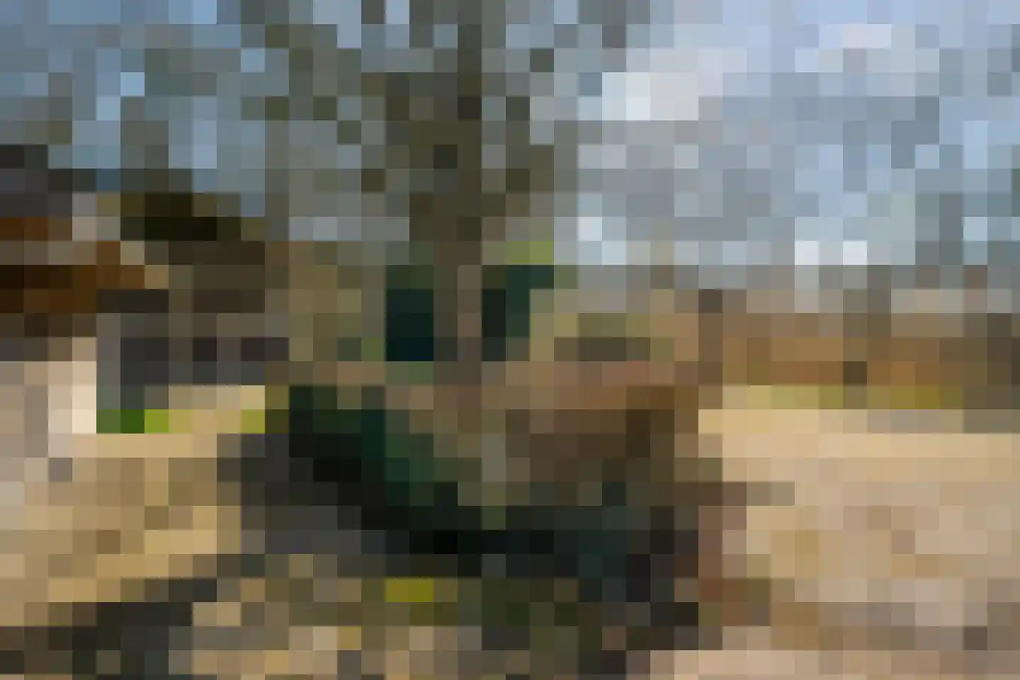 Zuthemerweg 28 Laag Zuthem thumbnail 40