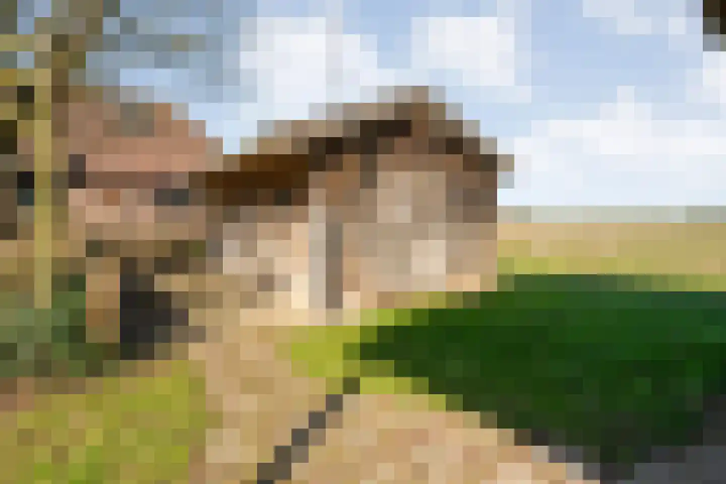 Zuthemerweg 28 Laag Zuthem thumbnail 44