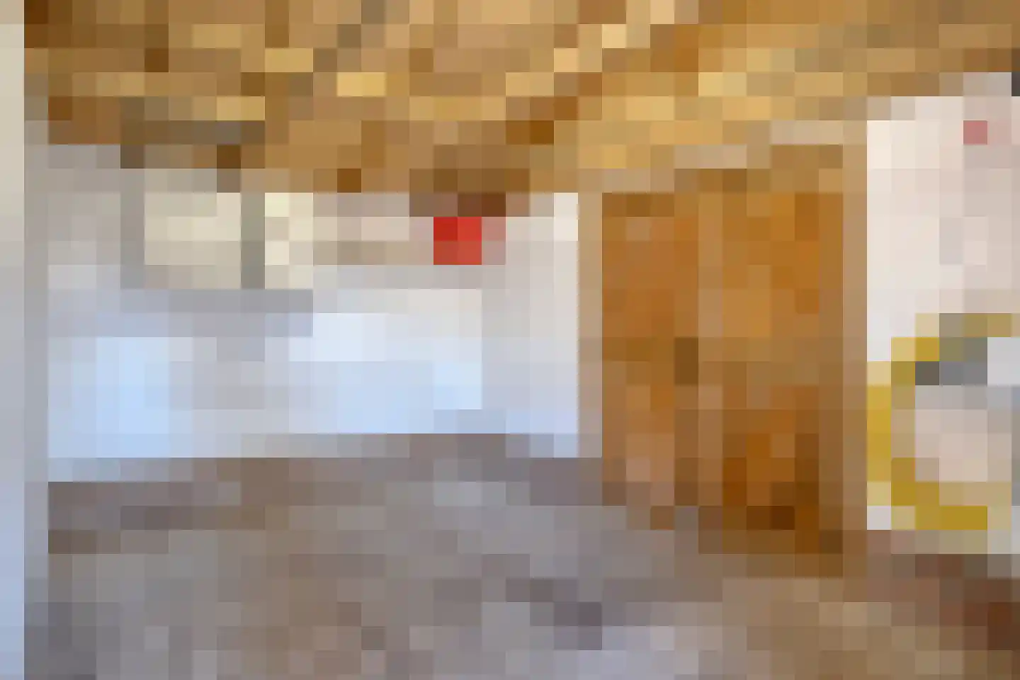 Zuthemerweg 28 Laag Zuthem thumbnail 45