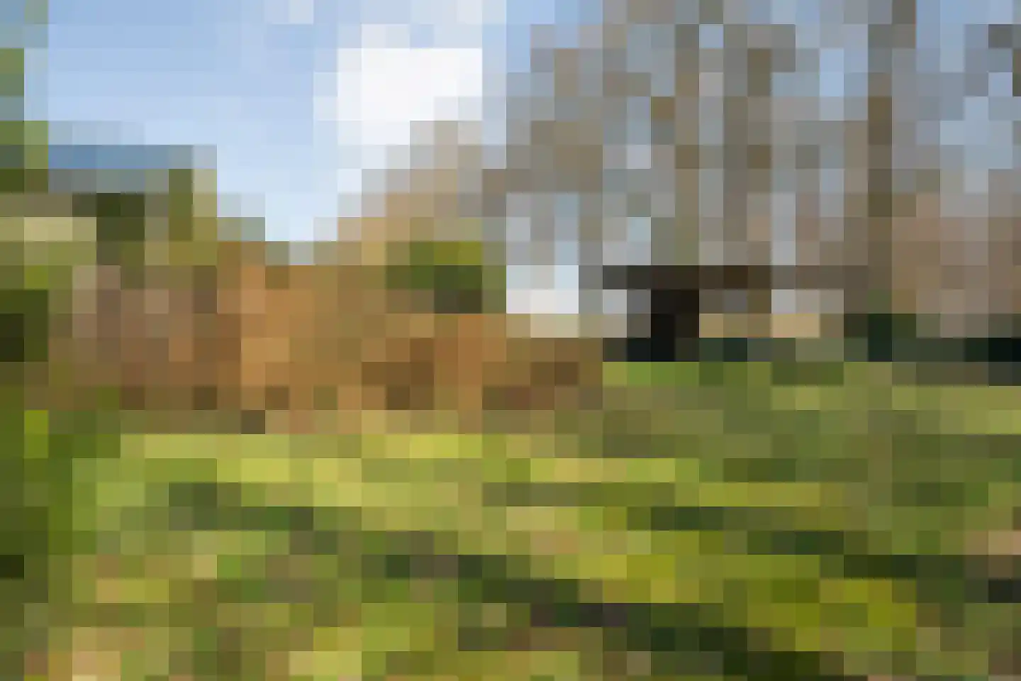 Zuthemerweg 28 Laag Zuthem thumbnail 51