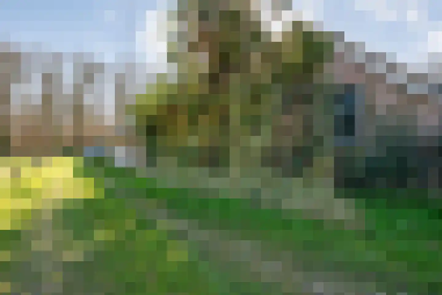 Zuthemerweg 28 Laag Zuthem thumbnail 58