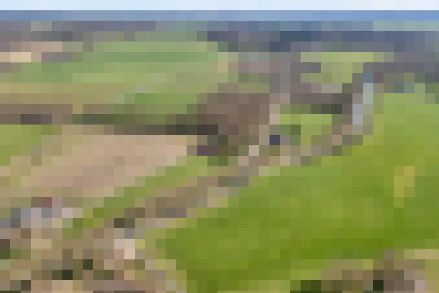 Zuthemerweg 28 Laag Zuthem thumbnail 6